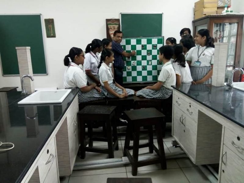 CHESS3